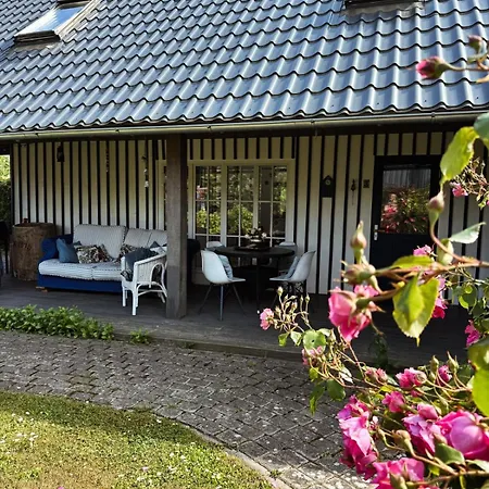 Cardinalis House Apartment Pāvilosta Exterior photo